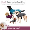 BellyGuard BellyGuard Recovery Suit for Dogs, Comfy Dog Surgery Suit,