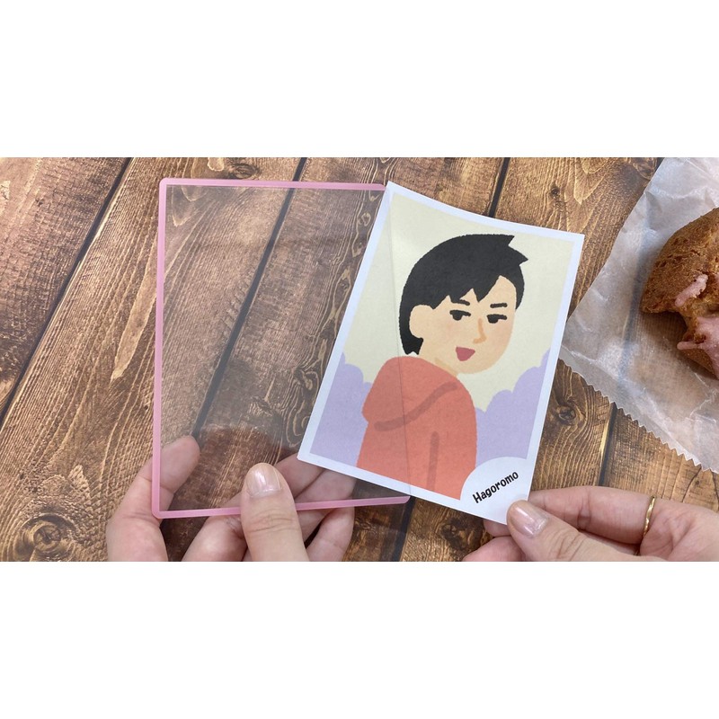 Hagoromo No. 82165 Pressed Color L-format Photo Case, 5 Pieces,