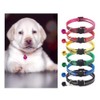 PetyPup Shampoo de Avena y Miel + Collar de Mascota
