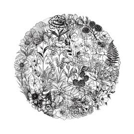 Pack of 50 Black and White Plant Stickers for Motorcycle, Bicycle, Bumper, Laptop, Car, Fridge, Transparent Plants Vinyl Cute Decal, Children Adults Gift, Aesthetic Graffiti Sticker