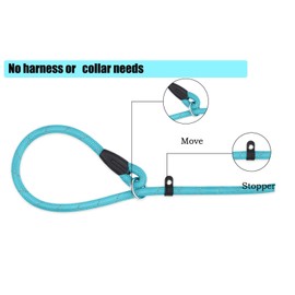 PETESCORT Lead Dog Leash, Heavy Duty 1/2" 3/8" x 6 FT Strong Rope Leash for Large, Medium & Small Dogs No Pulling Pet Training Leash Highly Reflective Threads (1/2in x 6Ft,Turquoise)