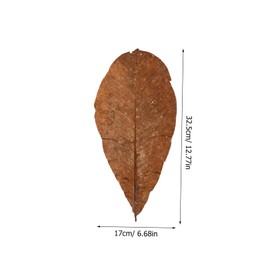 COLLBATH 20pcs Natural Dried Leaf Ornament for Sushi Decor Elegant Sashimi Tray Embellishment Versatile Food Presentation for Events Weddings and Baking Decor