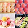 50 Pieces Fruit Protection Bags Foam Mesh Keep Safe Mesh
