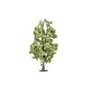 Hornby R7223 Lime Tree Scenic Materials, Multi