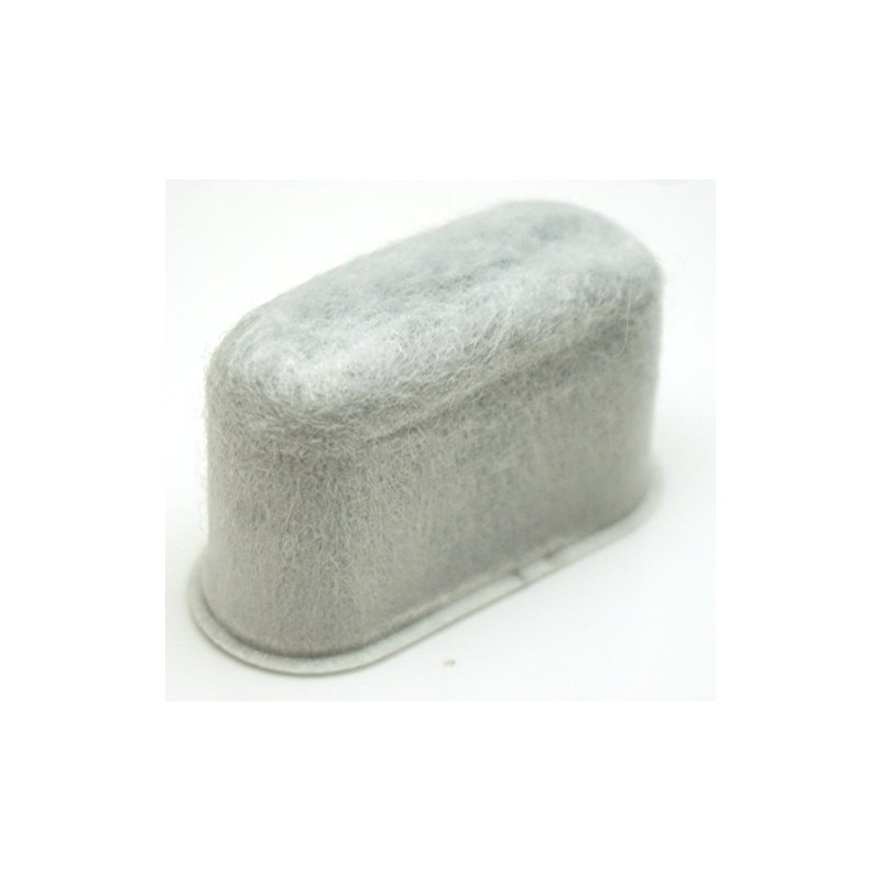 Delonghi 7313285779 Carbon Filter