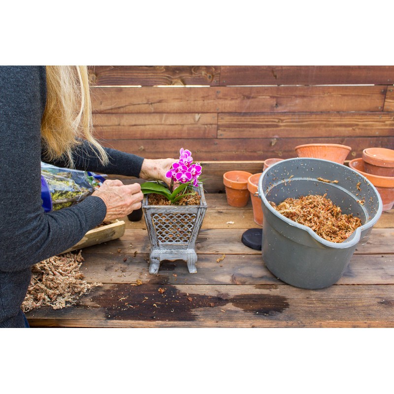 SuperMoss (22330) Orchid Sphagnum Moss Dried, Natural, 2.1lbs Small Bale