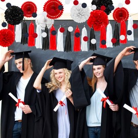 29 Piece Red Black White Party Decoration Mouse Birthday Party Decoration Set Paper Pom Poms Honeycomb Fans Paper Tassels Circle Dot Garlands for Graduation Baby Shower Festival