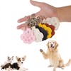6 Piece Pet Memory Set, Cat Paw Keyring with Tweezers,