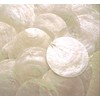 100 Capiz Shells White Round 2" (50mm) No Holes Crafts