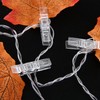 LOMIMOS 100Pcs Mini Clear Photo Clips,Mini Clothespins Transparent Plastic Clear