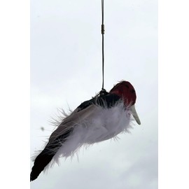 Generic Kill Chirp Trap Bait Digital Caller - Master Trappers Tom Miranda & Tim Wells