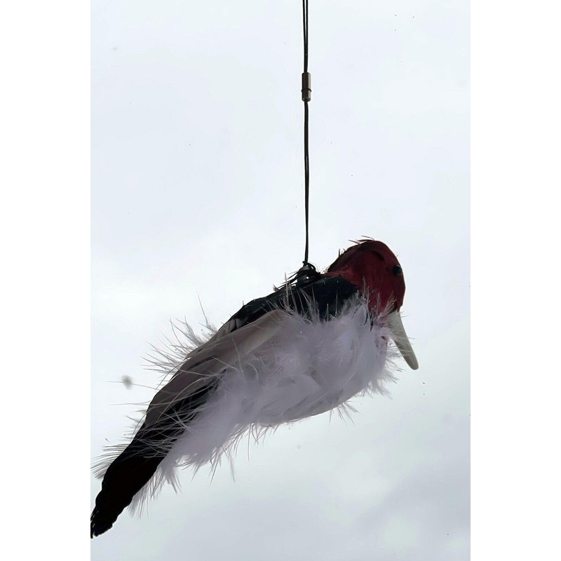 Generic Kill Chirp Trap Bait Digital Caller - Master Trappers