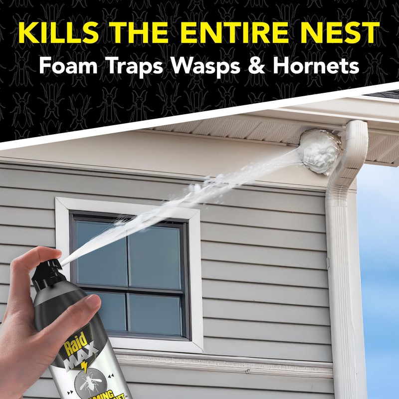 Raid Max Foaming Wasp & Hornet Killer, Fast Coverage Foam,