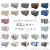 Repeat Sign (:re) Daily Towel [Firm] Solid Color Bath Towel