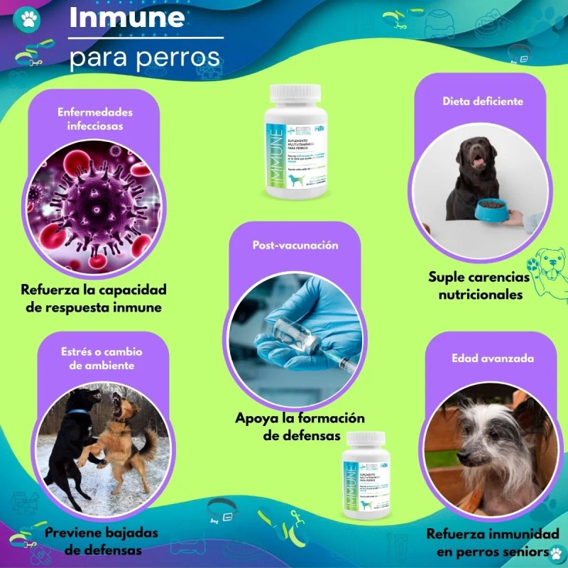 Medical Solutions Multivitaminico Immune Tabletas Para Perros 60 Pz Fancy