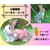 MMmall Rabbit Harness Lead, Rabbit Supplies, Rabbit Harness, Rabbit, Clothing,