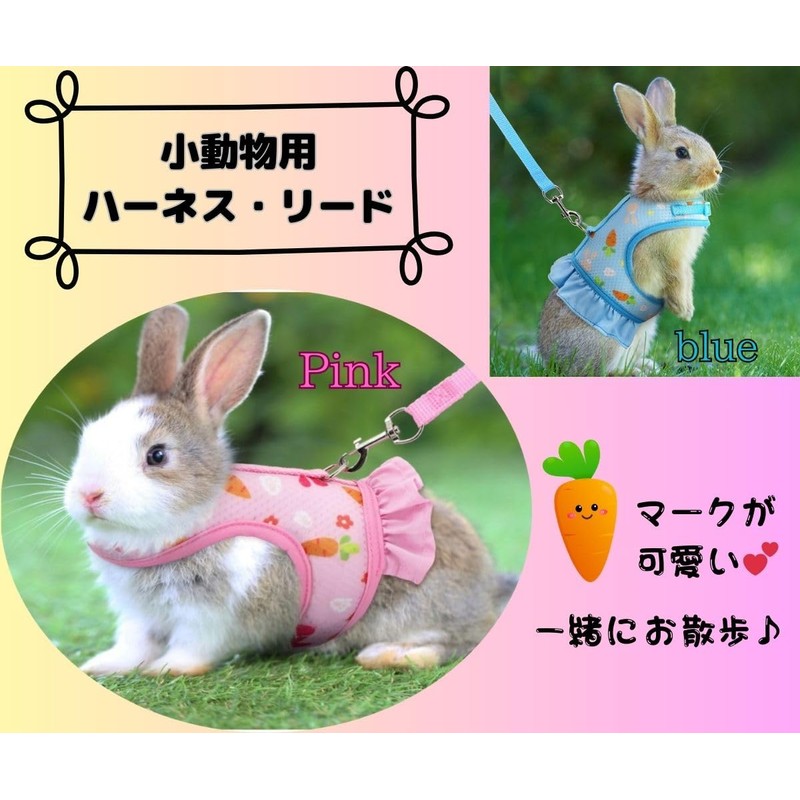 MMmall Rabbit Harness Lead, Rabbit Supplies, Rabbit Harness, Rabbit, Clothing,