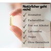 EXVital Omega 3 from Algae Oil, Vegan, 120 Softgel Capsules,