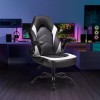 HOMEFLA Computer Gaming Desk Chair Ergonomic Lumbar Support with Flip-up