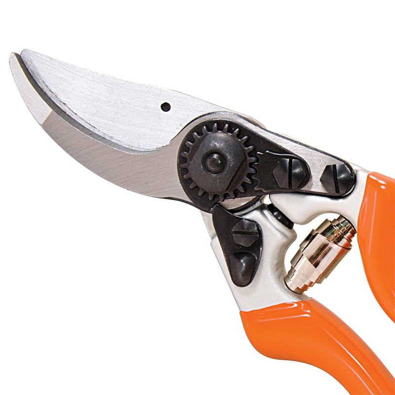 A.M. Leonard Bypass Pruners with Titanium-Coated Blades