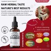 Lymphatic Flow Support Drops - Herbal Blend with Mullein Leaf,