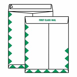 Open End First Class Tyvek Catalog Envelopes, 10" x 15", 14#, First Class Mail' on Face and Flap (Box of 100)