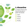 L-Theanine 500mg - 90 Capsules - Supports Sleep and Relaxation