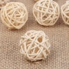 Samcos Parakeet Toy, Pet Toy, Set of 10, Diameter 1.2
