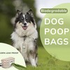 Bobotails Biodegradable Dog Poop Bags, 120 Count, Leak-Proof with Double