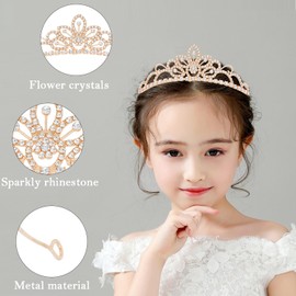 Gold Crown Princess Tiaras for Girl Crystal Flower Birthday Headband Little Girls Hair Accessories Princess Decoration for Gift Party Prom Halloween
