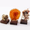 Perfeclan Wooden Display Stand for Fossils, Rocks, Geode, Agate, Crystals,