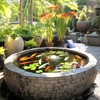 Biling Solar Pond Aerator for Small Pond, 3 Modes, 2200