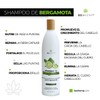 Shampoo de Bergamota anticaída e hidratante 480 ml Beohemp