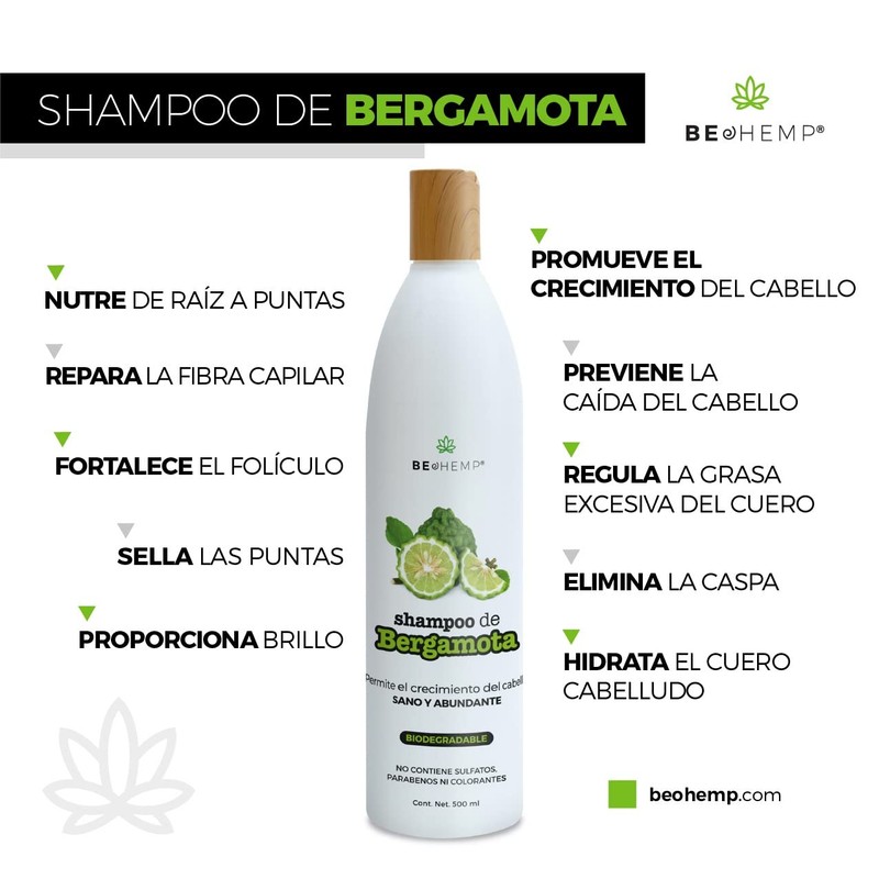 Shampoo de Bergamota anticaída e hidratante 480 ml Beohemp