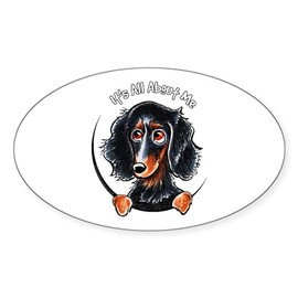 CafePress Dachshund Longhair B/T IAAM Oval Car Bumper Sticker