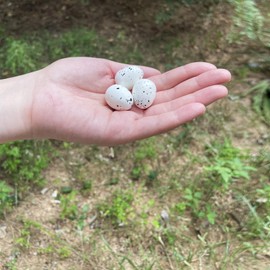 Artificial Bird Eggs Craft for Home Decor Garden Ornaments Speckled Fake Foam Bird Eggs for Wedding Party Decorative Photography Prop (10)