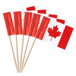GentleGirl 100 Pcs Canada Flag Canadian Toothpick Flags Small Mini Canadian Cupcake Toppers Stick Flags Decorations