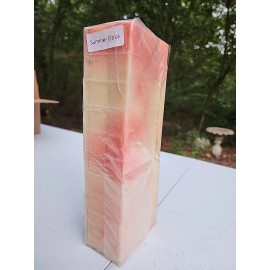 BAILEY ST. SOAP CO. Summer Citrus Handmade soap precut 10 bars