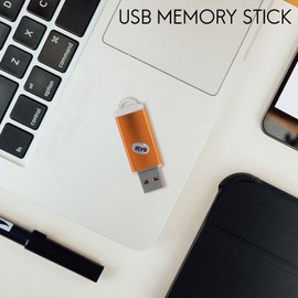 Peakloong USB Memory Stick Flash Pen Drive U Disk for PC TV Color:Golden Capacity:64MB