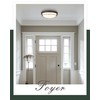 Cargifak 16 inch Flush Mount Ceiling Light, 3-Light Close to