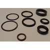 RAParts (2) New D148100 Fits Case Steering Cylinder Seal Kits