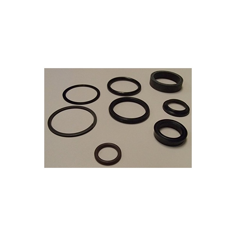 RAParts (2) New D148100 Fits Case Steering Cylinder Seal Kits