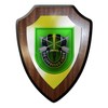 #9735 Coat of Arms Shield Green Berets 2 De Oppresso