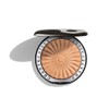 Chantecaille [Department Store] [Chantecaille] Perfect Blur Finishing Powder - [00001]Light/Medium