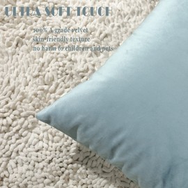 Stellhome Super Soft Velvet Square Throw Pillow Covers for Bed Couch Sofa Bench, 16 x 16 inch (40 x 40 cm), Silver Blue, Pack of 2