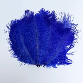 20pcs 6-8 Inches 15-20cm Ostrich Feathers DIY Craft Wedding Party Decoration (Red)