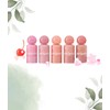peripera Olive Young Peripera Syrup Skin Tok Cheek / 올리브영 페리페라 시럽피 톡 치크