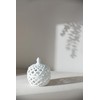 TREATLIFE HOME White Ceramic Lidded Jar with Lattice Design, Potpourri