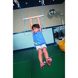 Abilitations Integrations Monkey-Swing Vestibular Orientation