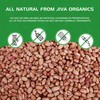 Jiva Organic Light Red Kidney Beans Speckled Whole (Rajma Chitra)